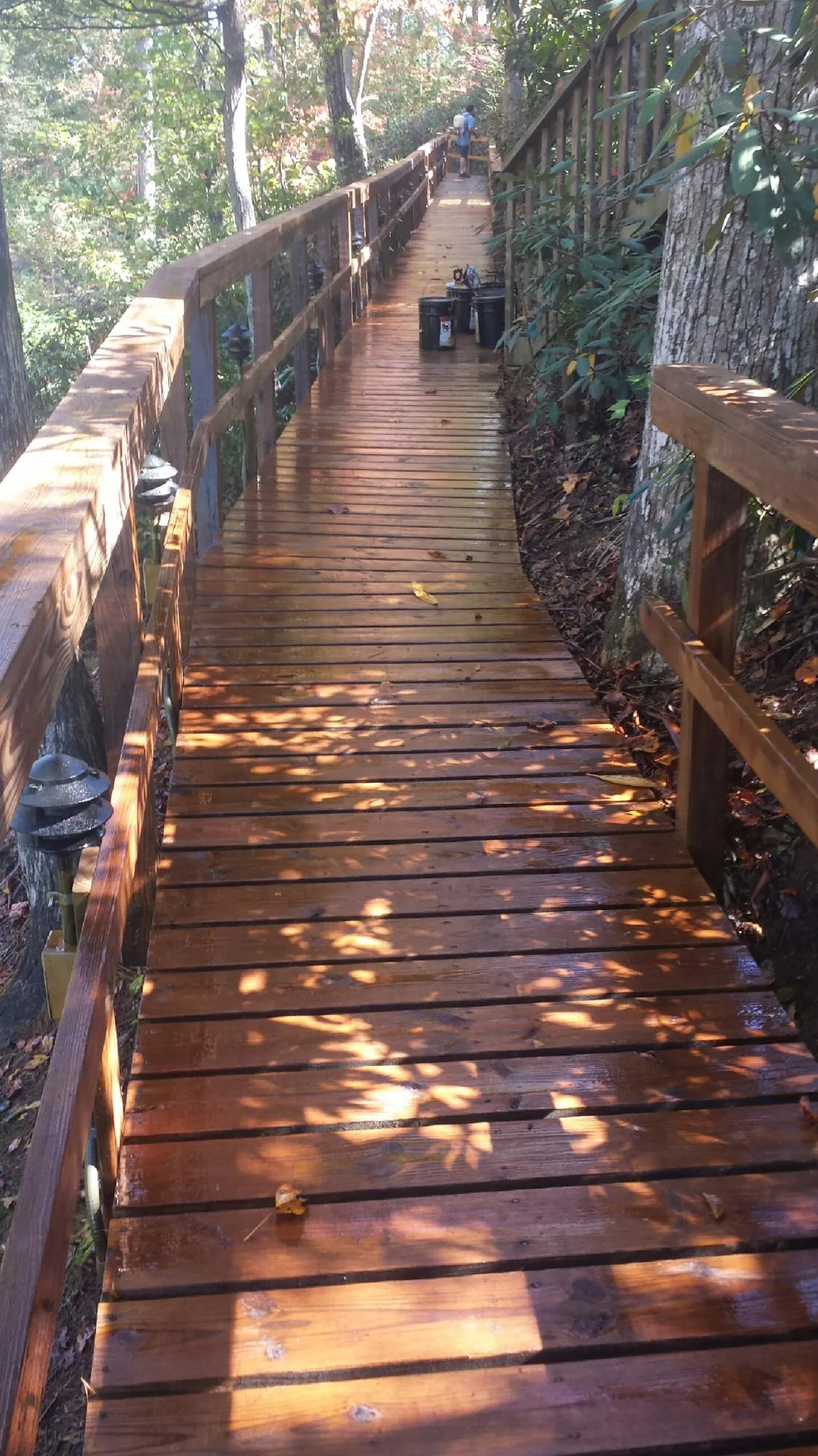 Freshly stained wood walkway winding through the woods in Canmer
